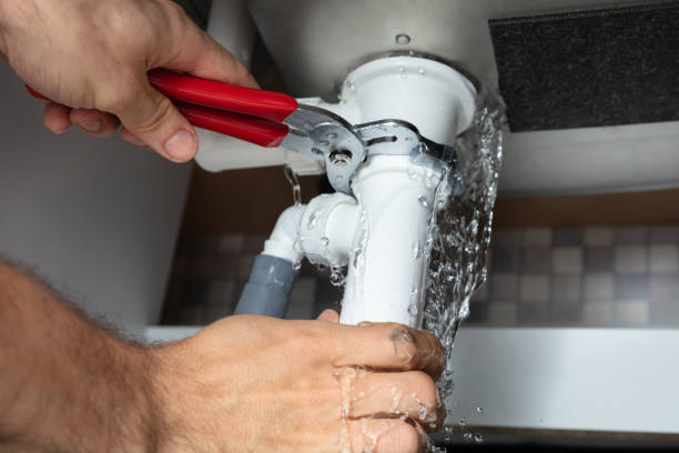 Best Local water damage restoration  in Winfield, AL
