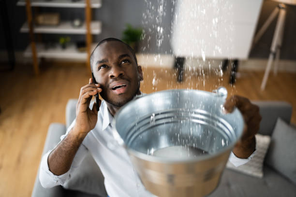 Best Water damage contractors near me  in Winfield, AL