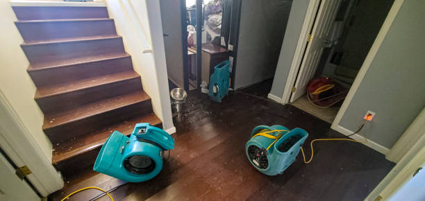 Water damage restoration mold remediation in Winfield, AL