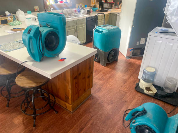 Best Water damage restoration near me  in Winfield, AL