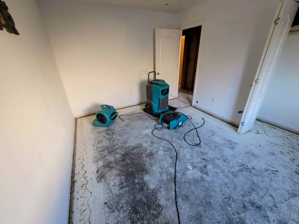 Best Local water damage restoration  in Winfield, AL