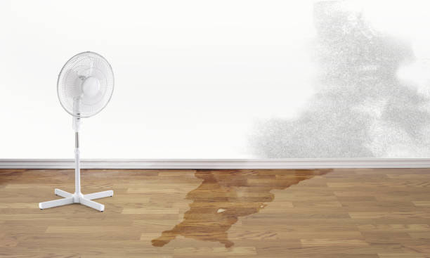 Best Ceiling water damage repair  in Winfield, AL