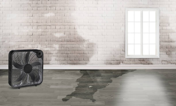 Best Water damage restoration near me  in Winfield, AL
