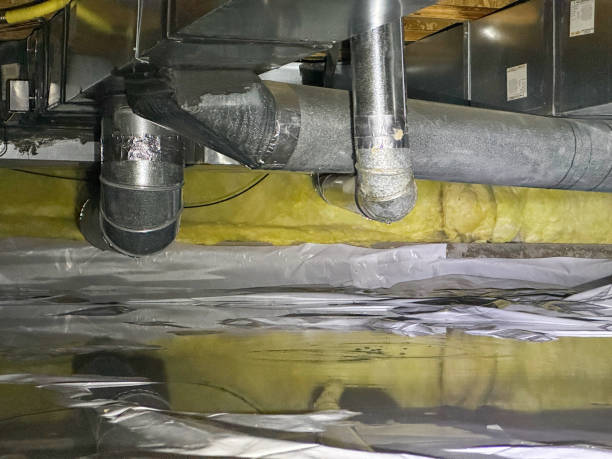 Best 24/7 water damage repair  in Winfield, AL