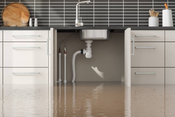 Reliable Winfield, AL Water damage restoration Solutions