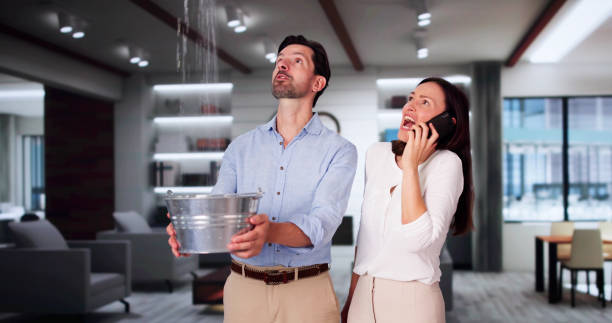 Best Basement water damage restoration  in Winfield, AL